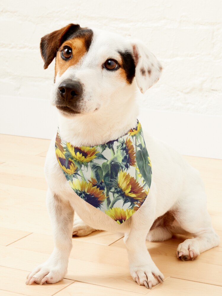 Sunflower bandana hot sale for dogs