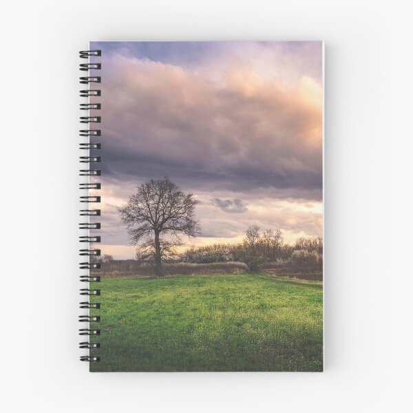 Item preview, Somewhere between winter and summer in the field designed and sold by Dejan Travica.