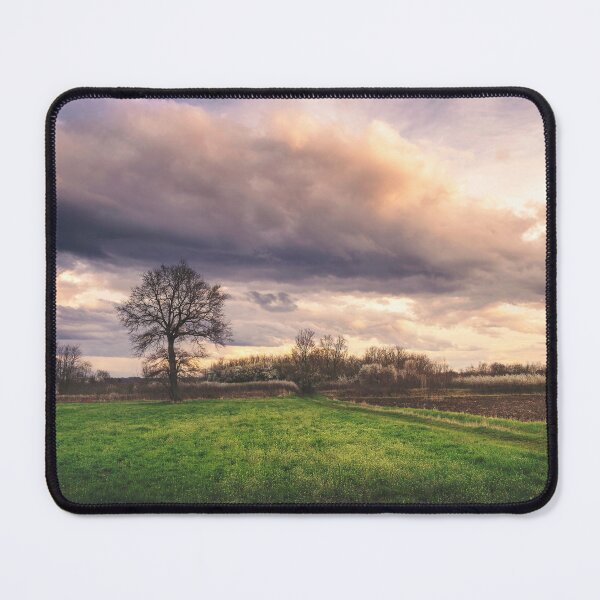 Item preview, Somewhere between winter and summer in the field designed and sold by Dejan Travica.