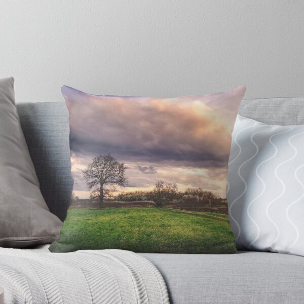 Item preview, Somewhere between winter and summer in the field designed and sold by Dejan Travica.