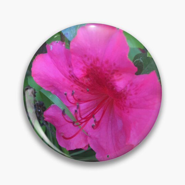 Item preview, Azaleas  designed and sold by Amanda1775.