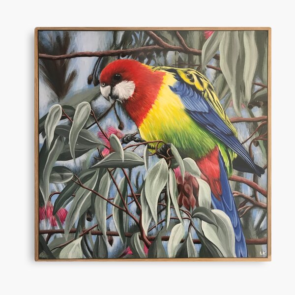 Eastern Rozella Metal Print