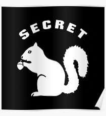 Secret Squirrel Poster