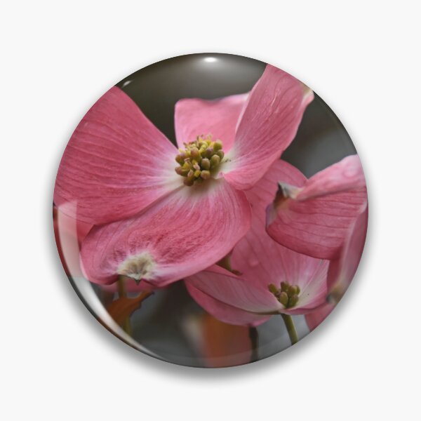 Item preview, Red Dogwood _ May blossoms  designed and sold by Poete100.