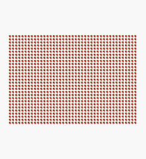 Strawberry Fields Forever Photographic Print