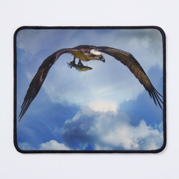 Item preview, Osprey and Fish designed and sold by Stephanie Laird.