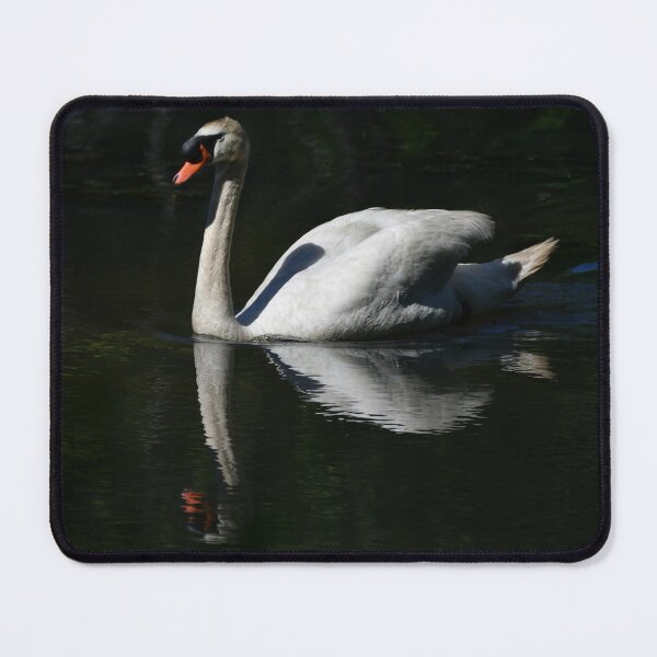 Item preview, Mr. Swan at Jenny Grist Mill Pond designed and sold by Poete100.