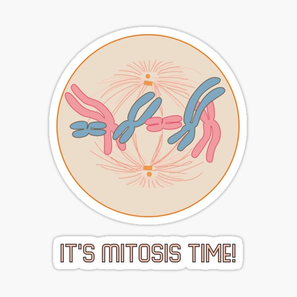 Item preview, It's Mitosis Time! designed and sold by JackBiagini.