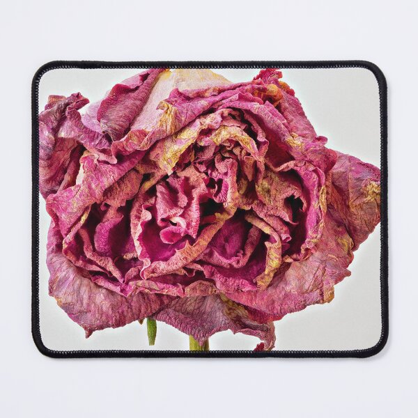 Item preview, Sprung #02: In The Pink designed and sold by AntSmith.