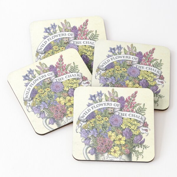 Artikelvorschau, Wild Flowers of the Chalk (1947) – Vintage-Buchcover entworfen und verkauft von SALON DES ARTS.