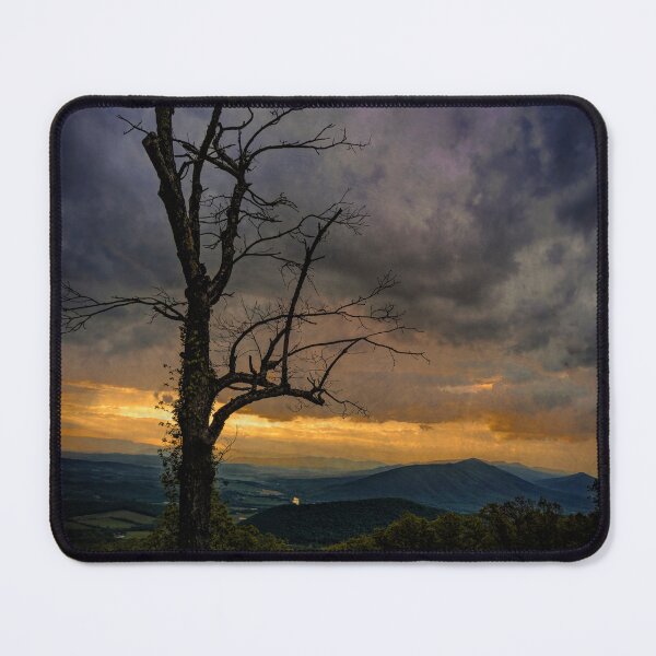 Item preview, Still Standing Tall Tree Blue Ridge Mountains Sunset designed and sold by nbrandsberg.