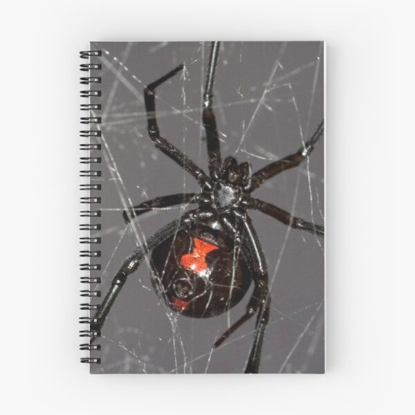 Item preview, Black Widow Spider designed and sold by E6Designs.