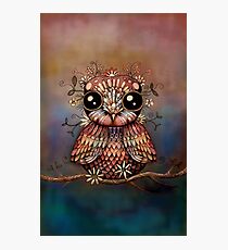 little rainbow flower owl Photographic Print