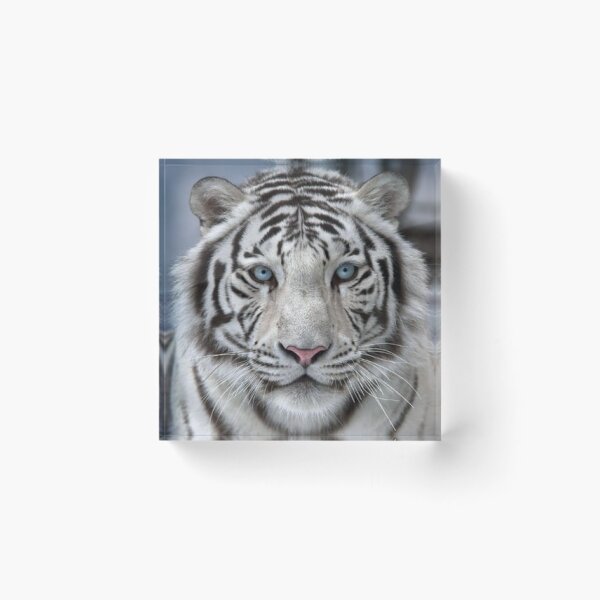 Item preview, Exotic White Tiger designed and sold by E6Designs.