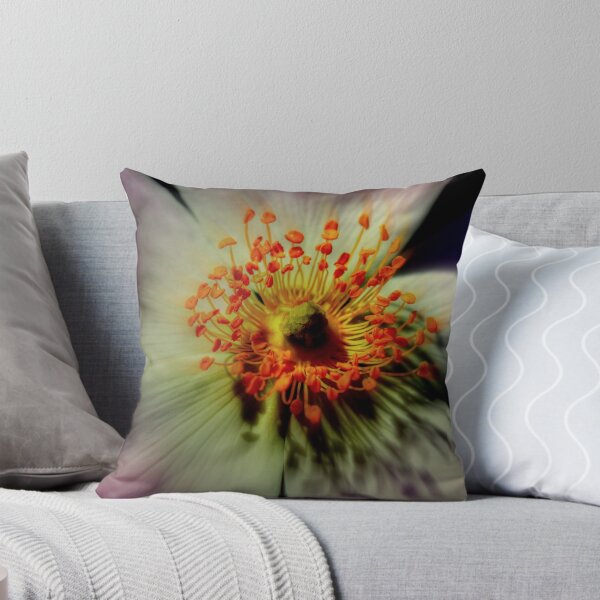 Item preview, Dog Rose (close up) designed and sold by larry flewers.