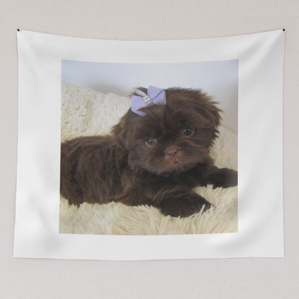 Item preview, lindo cachorro shih tzu designed and sold by E6Designs.