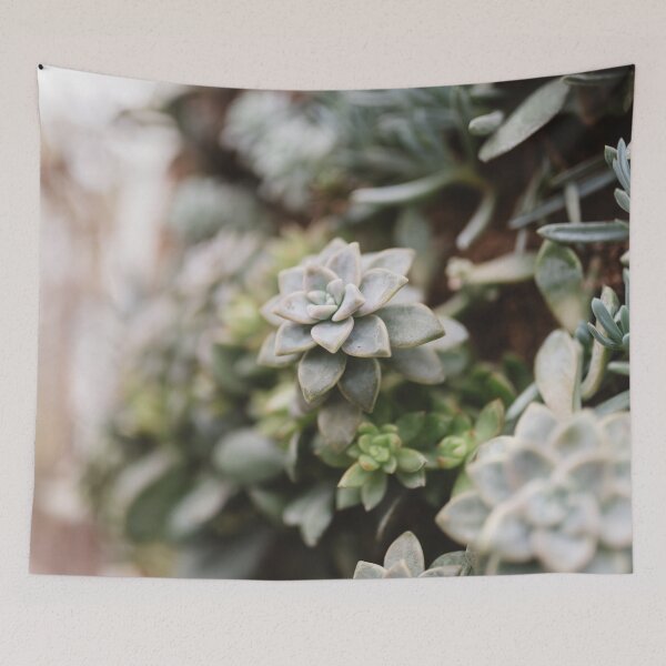 Item preview, Desert Garden designed and sold by chelseavictoria.