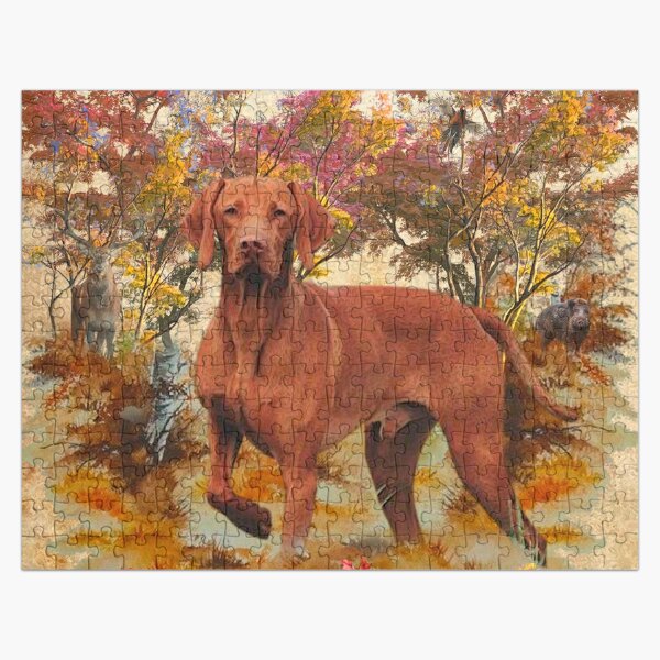 vizsla jigsaw puzzle