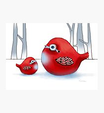 Little Red Robins Photographic Print