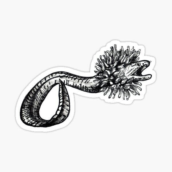 Anemoneel Sticker