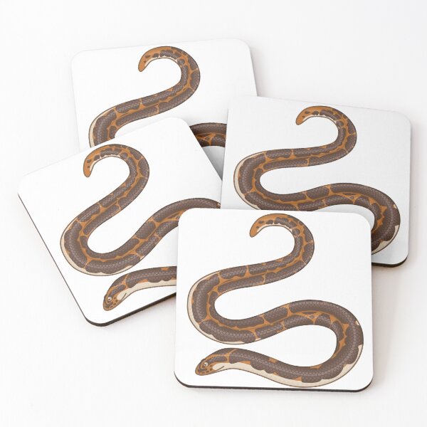 Item preview, Kenyan Sand Boa (Wild Type) designed and sold by TheFrogWrangler.
