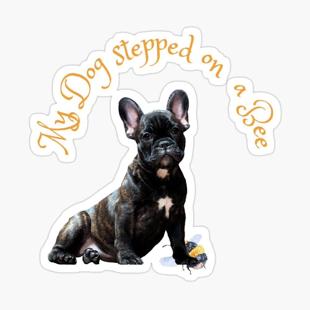 My dog stepped on a bee amber heard  Sticker for Sale by Tvdesignx