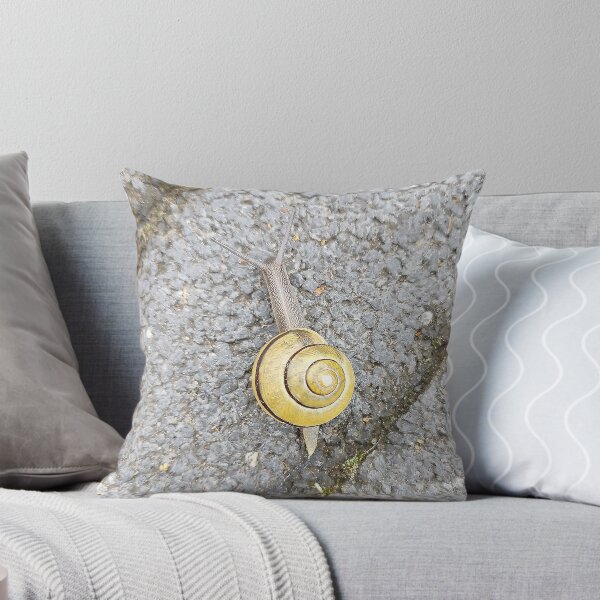 Artikelvorschau, Eine Schnecke, die sich langsam auf einem Backsteinboden bewegt entworfen und verkauft von dabingboshi.