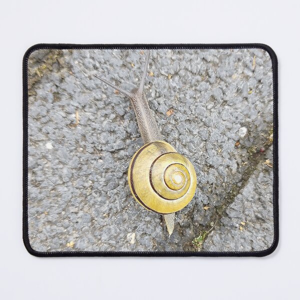 Item preview, A snail moving slowly on a brick ground designed and sold by dabingboshi.