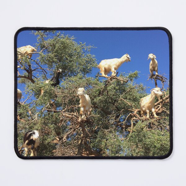 Item preview, Goats in an argan tree designed and sold by AHELENE.