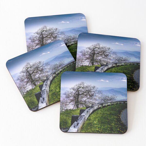 Item preview, Blue Ridge Parkway Curves Are the Best designed and sold by nbrandsberg.