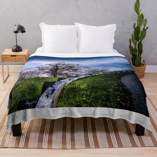 Item preview, Blue Ridge Parkway Curves Are the Best designed and sold by nbrandsberg.