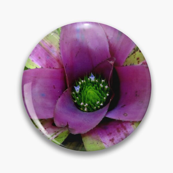 Item preview, Purple Bromeliad designed and sold by rosiebrown.