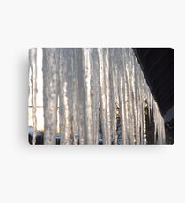 Untitled Canvas Print