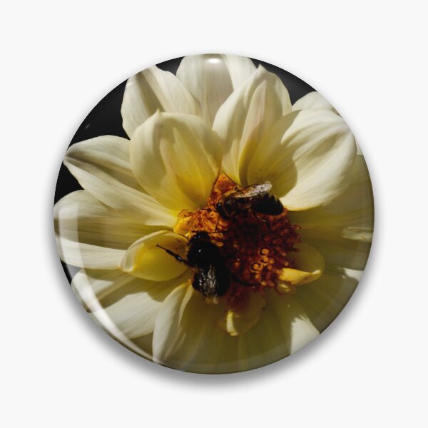 Artikelvorschau, Bienen bestäuben weiße Blüte - schwarzer Hintergrund entworfen und verkauft von Michaelerch.