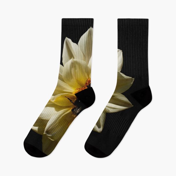 Item preview, Bees pollinating white flower head - black background designed and sold by Michaelerch.