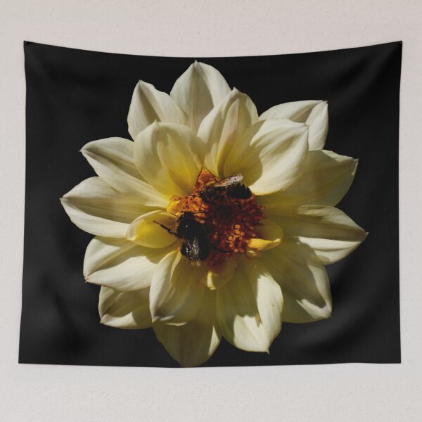Item preview, Bees pollinating white flower head - black background designed and sold by Michaelerch.