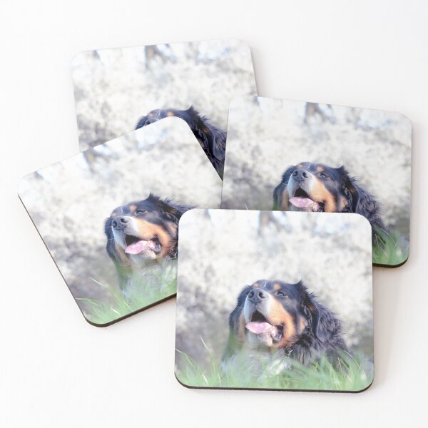 Item preview, Copy of  Bernese Mountain Dog  , Bernese gift ,dog stickers designed and sold by Anna-Kik.