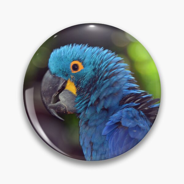 Item preview, Parrot  designed and sold by Savannah Gibbs.