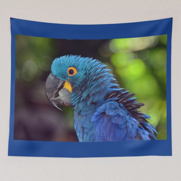 Item preview, Parrot  designed and sold by Savannah Gibbs.