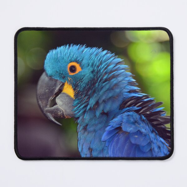 Item preview, Parrot designed and sold by Savannah Gibbs.