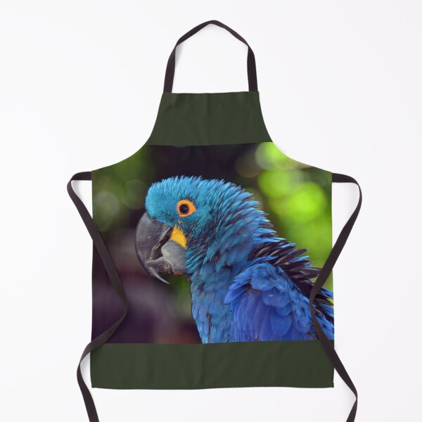 Item preview, Parrot  designed and sold by Savannah Gibbs.