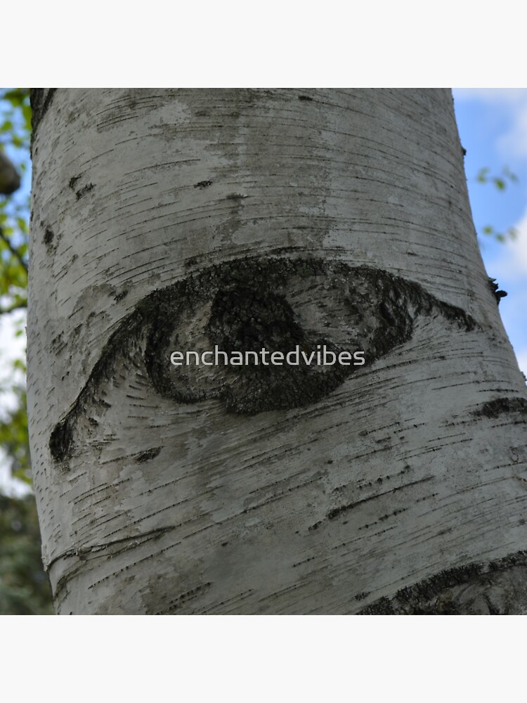 "The Trees have eyes" Sticker for Sale by enchantedvibes Redbubble