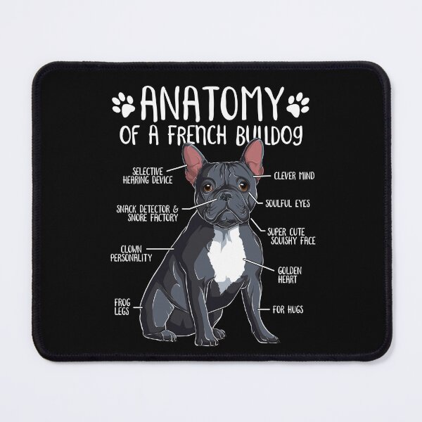 Item preview, Funny French Bulldog Anatomy Black Blue Frenchie Dog Lover designed and sold by lanynx design.