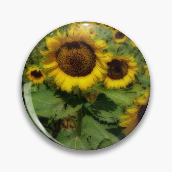 Item preview, Yellow Sunflowers South Carolina designed and sold by EdwardMonet.