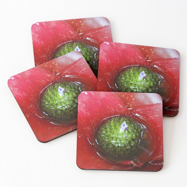 Item preview, Bromeliad   designed and sold by Dude620.