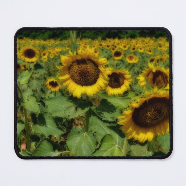Item preview, Yellow Sunflowers South Carolina designed and sold by EdwardMonet.