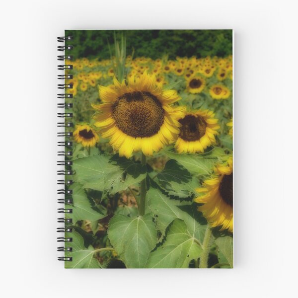 Item preview, Yellow Sunflowers South Carolina designed and sold by EdwardMonet.