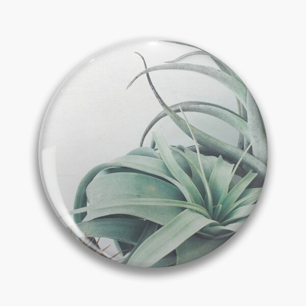 Item preview, Air Plant Collection designed and sold by Cassia Beck.