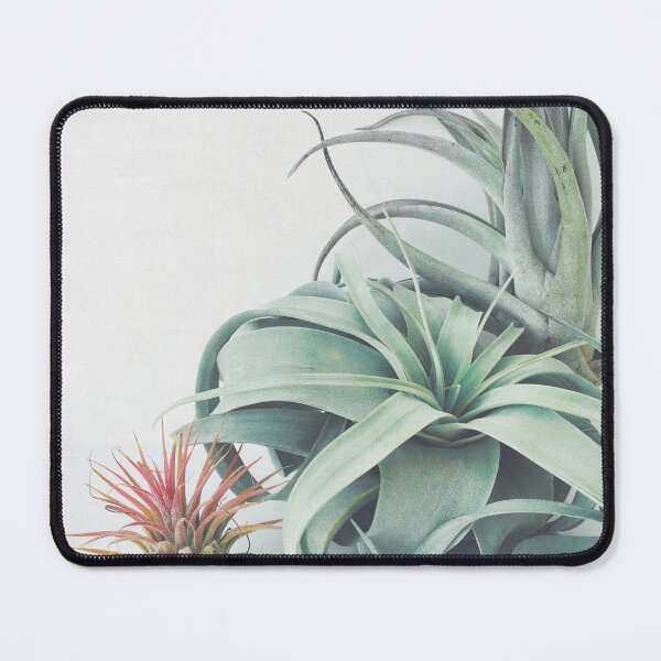Item preview, Air Plant Collection designed and sold by Cassia Beck.