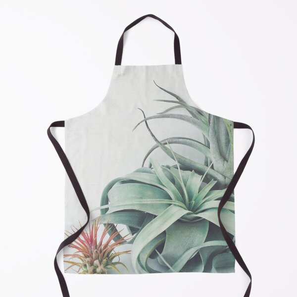 Item preview, Air Plant Collection designed and sold by Cassia Beck.